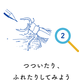 つついたり、ふれたりしてみよう