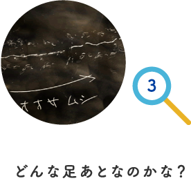 どんな足あとなのかな？