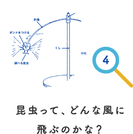 昆虫って、どんな風に飛ぶのかな？