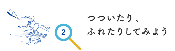 つついたり、ふれたりしてみよう