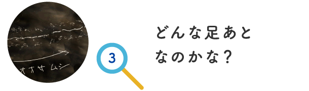 どんな足あとなのかな？