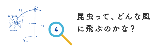 昆虫って、どんな風に飛ぶのかな？