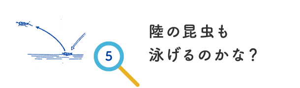 陸の昆虫も泳げるのかな？