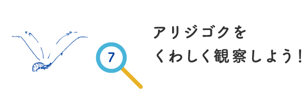 アリジゴクをくわしく観察しよう！