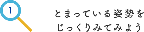 とまってる姿勢をじっくりみてみよう