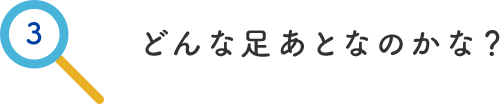 その3.どんな足あとなのかな？