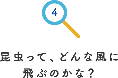 その4.昆虫ってどんな風に飛ぶのかな？