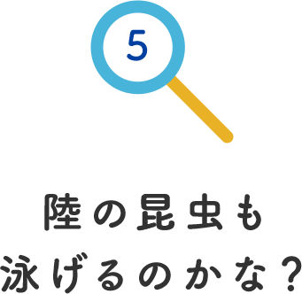 その5.陸の昆虫も泳げるのかな？