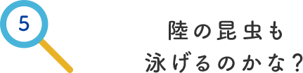 その5.陸の昆虫も泳げるのかな？