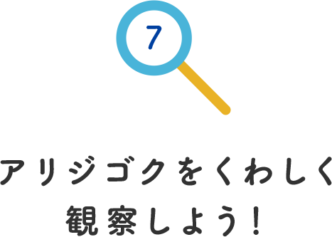 その7.アリジゴクをくわしく観察しよう！