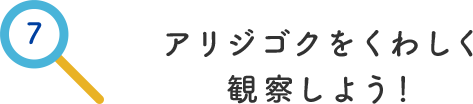 その7.アリジゴクをくわしく観察しよう！