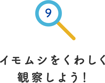 その9.イモムシを詳しく観察しよう！