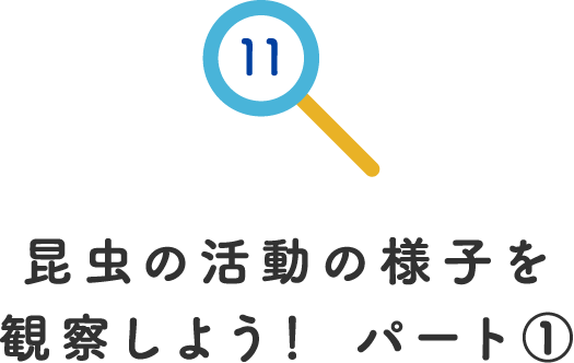 その11.昆虫の活動の様子を観察しよう