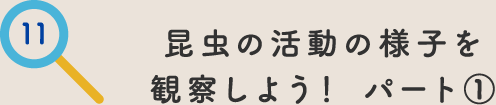 その11.昆虫の活動の様子を観察しよう