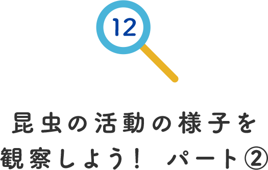 その12.昆虫の活動の様子を観察しようパート②