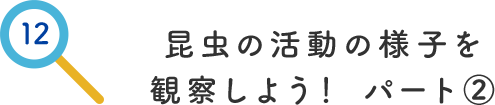 その12.昆虫の活動の様子を観察しようパート②