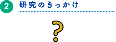 研究のきっかけ