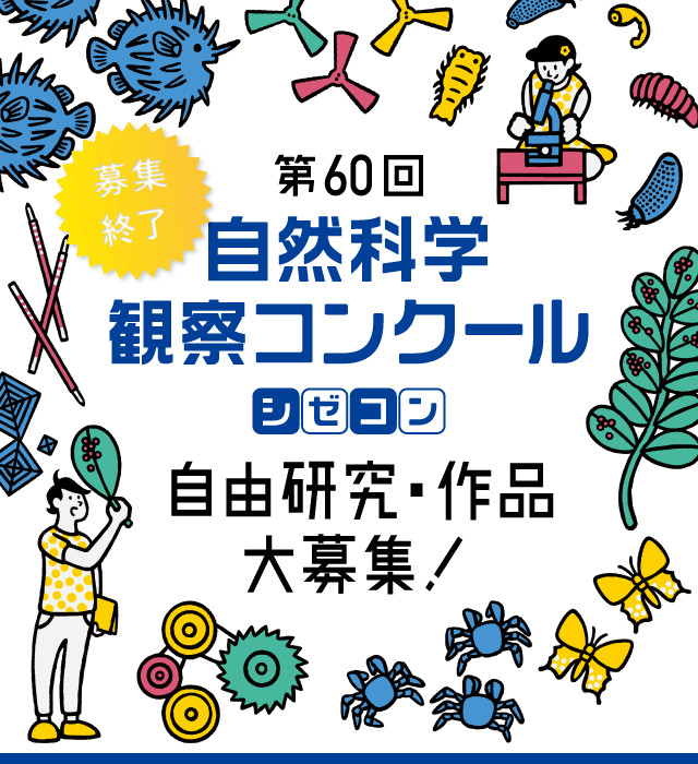 応募方法 自然科学観察コンクール シゼコン