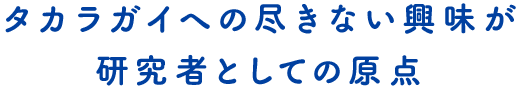 タカラガイへの尽きない興味が研究者としての原点