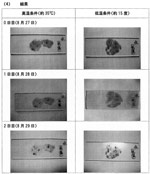 衣類に付いた花粉の落ちにくさに関する研究 中学校の部 佳作 入賞作品 自由研究 自然科学観察コンクール シゼコン