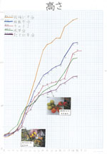大好きミニトマト パート１ パート２ 小学校の部 2等賞 入賞作品 自由研究 自然科学観察コンクール シゼコン