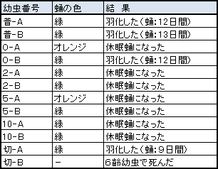 休眠蛹になる「時間の限界」を探る ：表