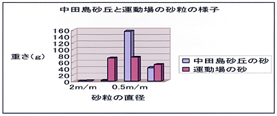 中田島砂丘と運動場の砂粒の様子