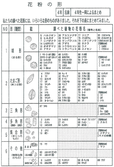 花粉の研究 小学校の部 オリンパス特別賞 入賞作品 自由研究 自然科学観察コンクール シゼコン