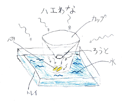 カマキリの食べ物の研究 小学校の部 文部科学大臣賞 入賞作品 自由研究 自然科学観察コンクール シゼコン