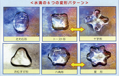 第56回 入賞作品一覧 入賞作品 自由研究 自然科学観察コンクール シゼコン