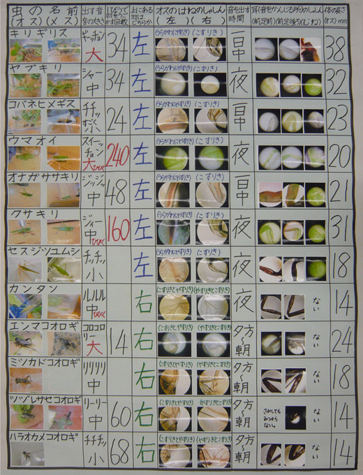 第回 入賞作品一覧 入賞作品 自由研究 自然科学観察コンクール シゼコン