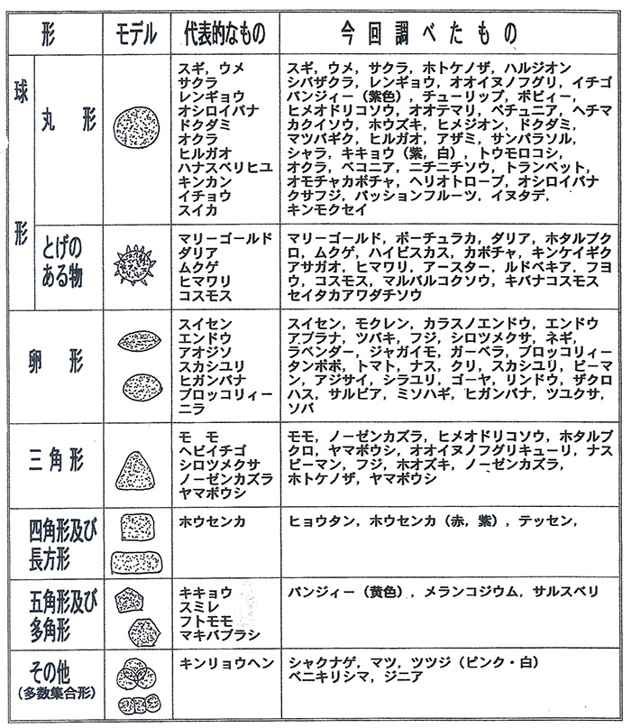 コッピク・イラスト教室]コピック薄塗りで色数少なくても表現の幅が広がる描き方 | マンガ・イラスト教室 絵美や