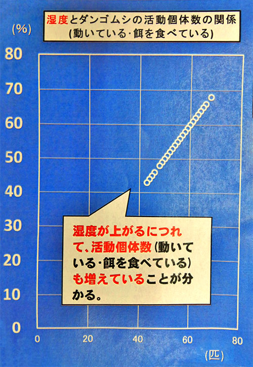 ダンゴムシの生態を探る 中学校の部 文部科学大臣賞 入賞作品 自由研究 自然科学観察コンクール シゼコン